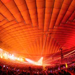 「Bye-Bye Show for Never at TOKYO DOME」（提供写真）