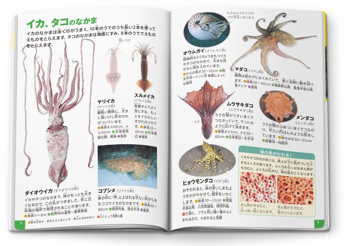 ミニ図鑑「水の生物」中面