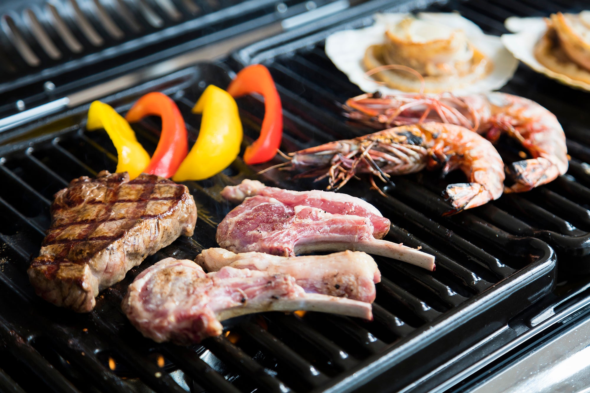 THE HARBOR TERRACE（提供画像）