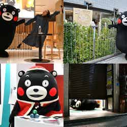 大人気“モン”タクロース姿で小学生にモテモテ! さらに神々しい「金ピカ」くまモンまで現れて!?