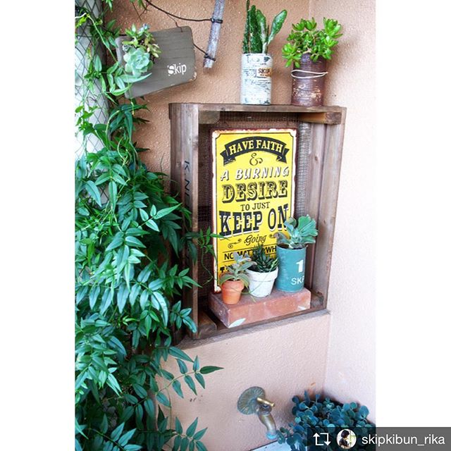 おしゃれな 多肉棚 をdiyしませんか 100均グッズを使った簡単アイデアも モデルプレス