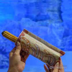 チンアナゴのチュロス500円(C)モデルプレス