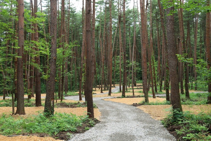 FOLKWOOD VILLAGE/画像提供:トランジットジェネラルオフィス