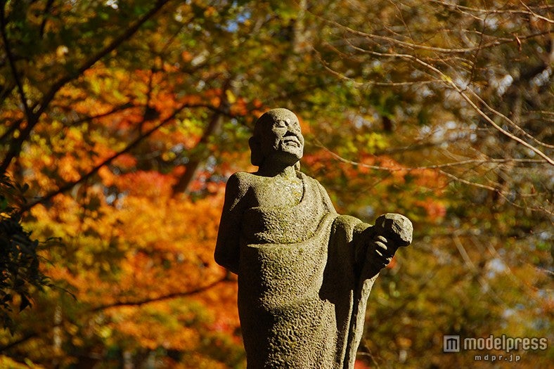 「長安寺」（見頃：11月中旬）