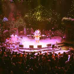 SPOOKY PUMPKIN(C)2024 SANRIO CO.,LTD.TOKYO,JAPAN 著作 株式会社サンリオ