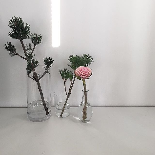 画像18 22 月 のつく熟語まとめ かっこよさも美しさもある日本の言葉 モデルプレス