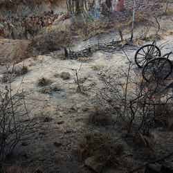 手前には本物の木や小物が置いてあり、現実と絵画の境目があいまい