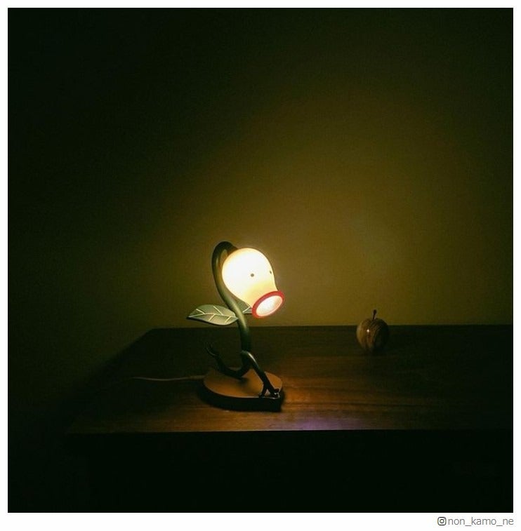 のんInstagramより