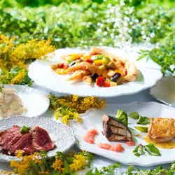 Healing Garden -New Retro Sweets×Glamping Recipes-/提供画像