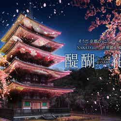 そうだ 京都、行こう。Presents NAKED meets 世界遺産 醍醐寺 —醍醐花見 ―/提供画像
