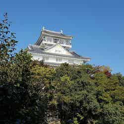 山頂から町並みを見下ろす岐阜城/提供画像