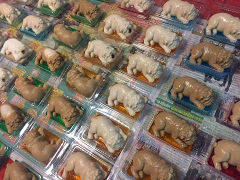 Wilaiwan01 facebookより