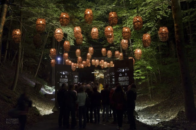 FORESTA LUMINAイメージ／画像提供：カトープレジャーグループ