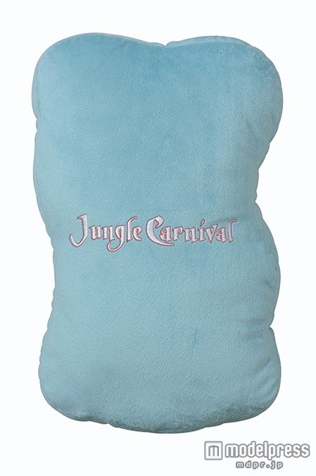 プルートのクッション、バックデザイン（C）Disney