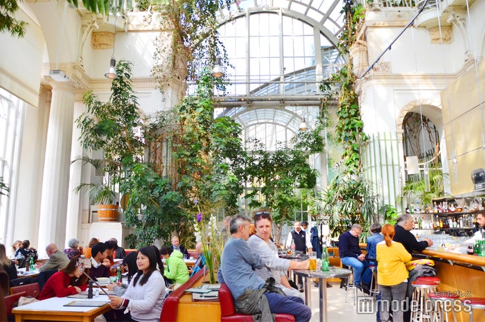 パルメンハウス（C）ビューティーガール