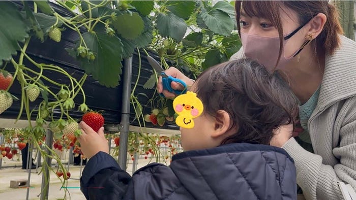 尾崎里紗アナウンサーオフィシャルブログより