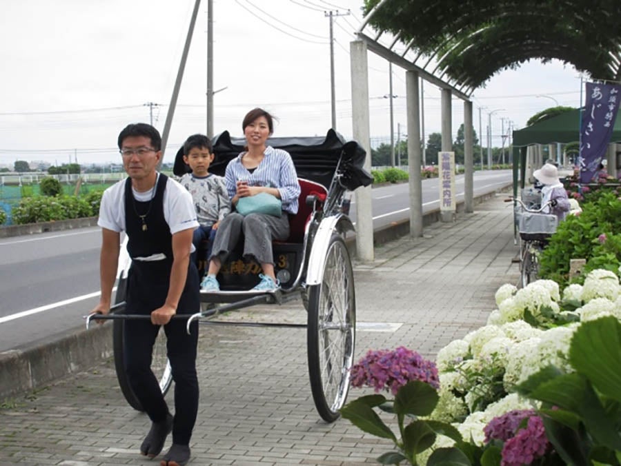 ふじとあじさいの道