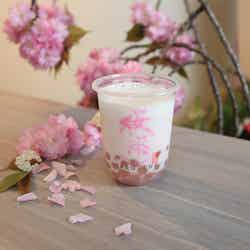 さくらラテ 650円/画像提供:桜っ茶浅草店