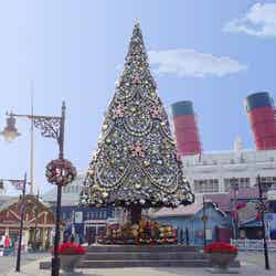 アメリカンウォーターフロントのクリスマスツリー （C）Disney