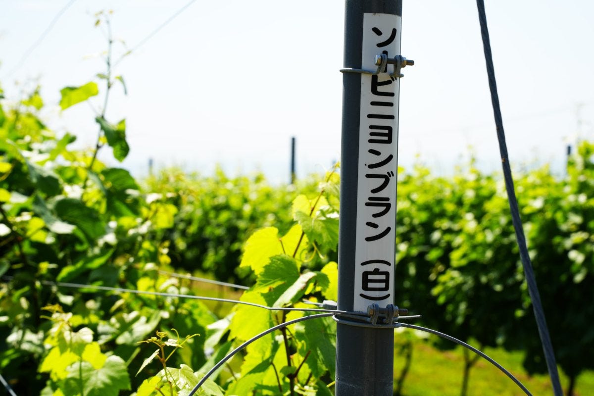 とみおかワインドメーヌ