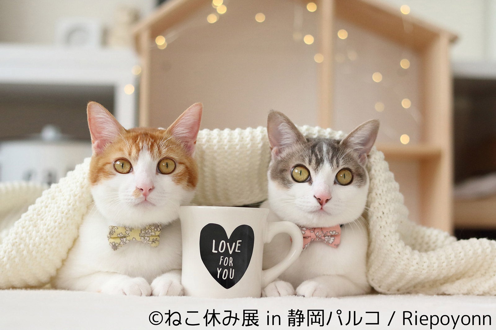 展示作品／画像提供：株式会社BACON