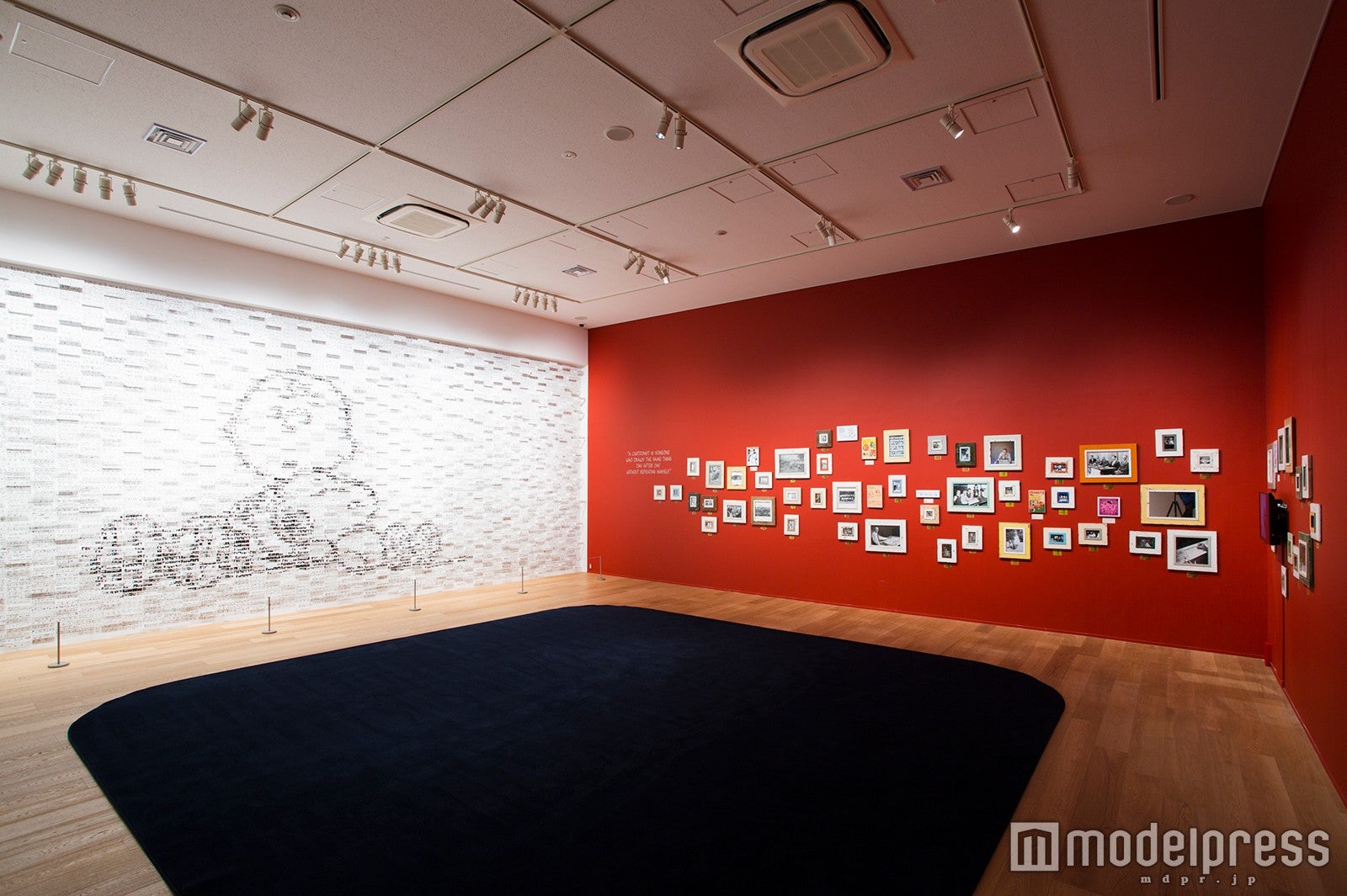 （C）Peanuts Worldwide LLC