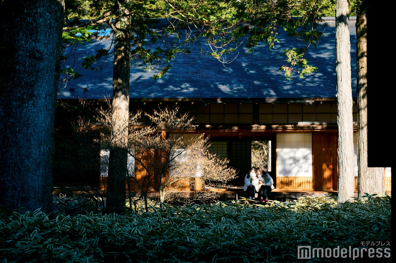 写真映えする縁側で記念撮影（C）モデルプレス