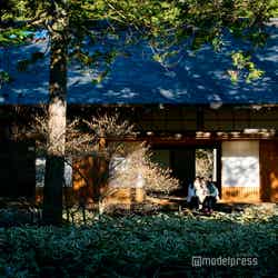 写真映えする縁側で記念撮影(C)モデルプレス