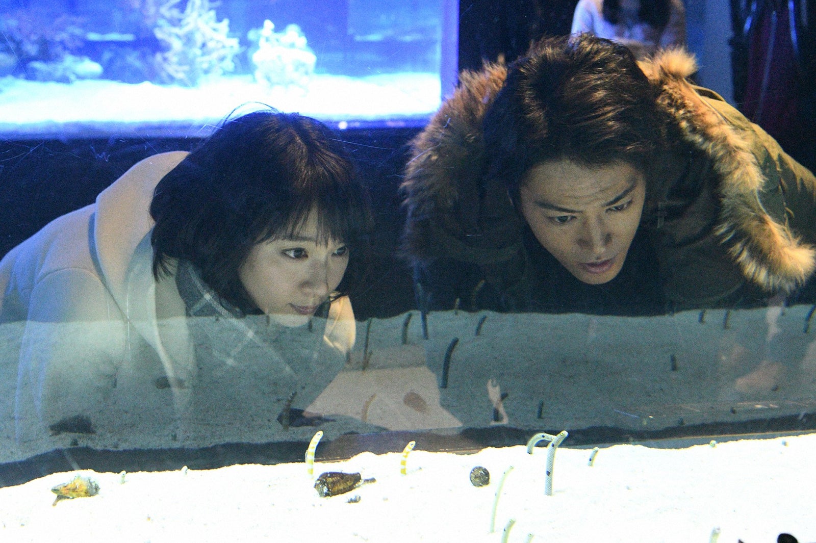 吉岡里帆、桐谷健太／「きみが心に棲みついた」第2話より（C）TBS