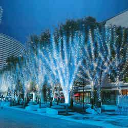 グランモール公園 Bright Illumination/画像提供:三菱地所リテールマネジメント