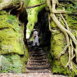 泉津の切り通し/画像提供:AuTaBi