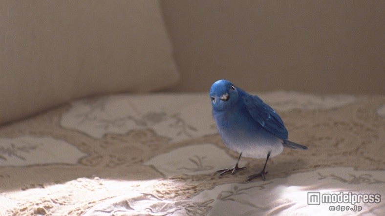 新TV-CM「青い鳥」篇（30秒）