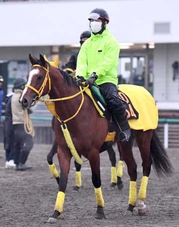 【新馬戦】モンスターラッシュ 高木師がべた褒め「とにかくいい」 両親ともに砂で実績残した良血エリート