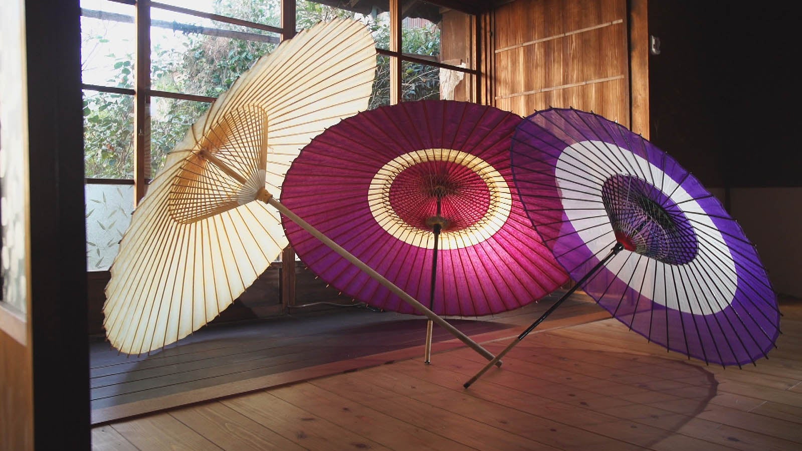 「最後の○○ ～日本のレッドデータ～」（C）NHK