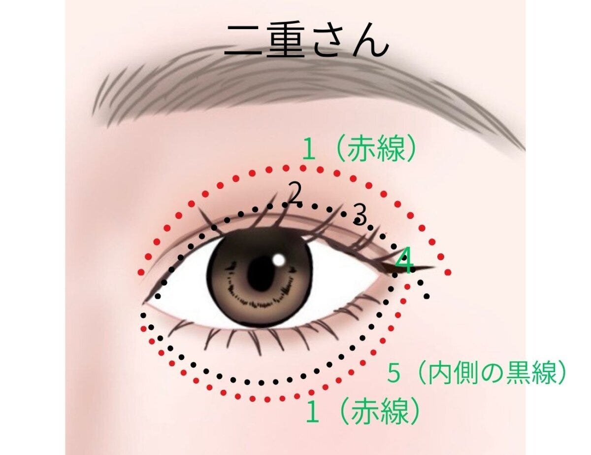 二重さん向けアイシャドウの塗り方を示す目元イラスト