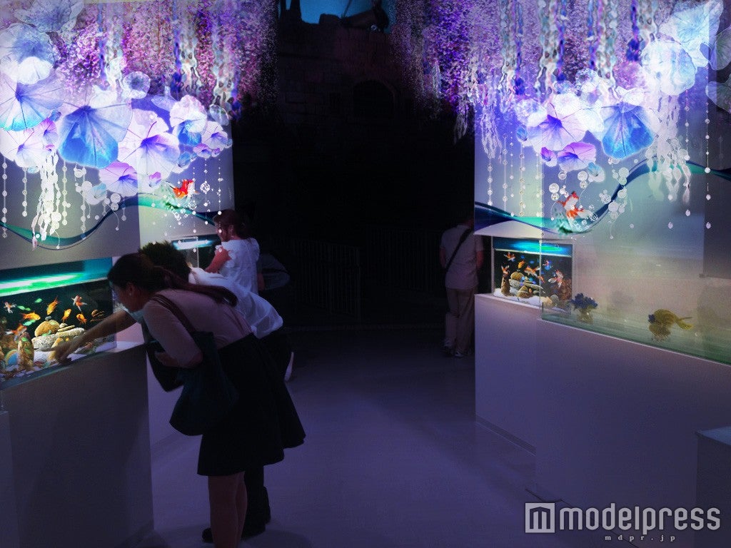 水際花（すいさいか）／画像提供：横浜八景島