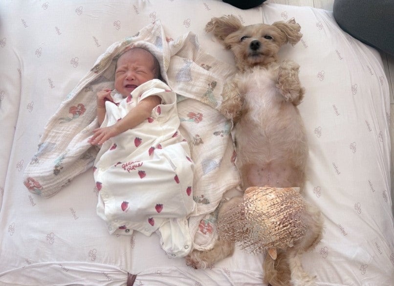 辻希美ブログより