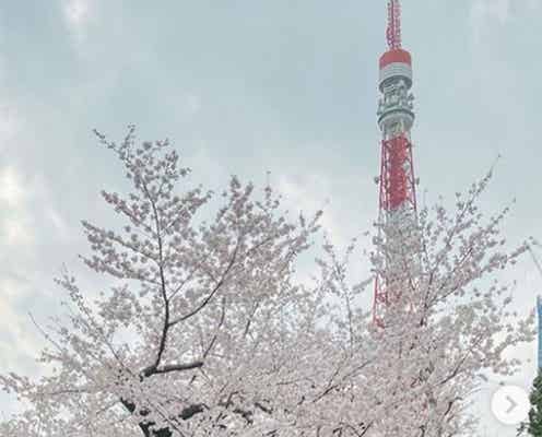 くみっきー、夫と手繋ぎ&息子との3ショット公開 “泣きながら桜を見た”過去も明かす