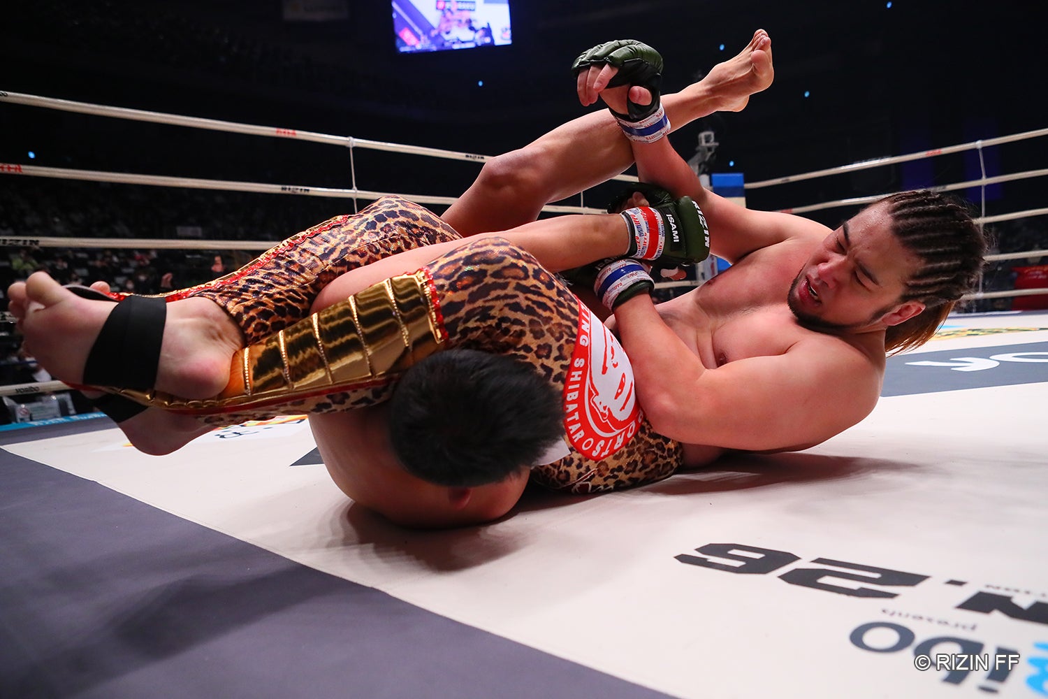 シバターVSHIROYA（C）RIZIN FF