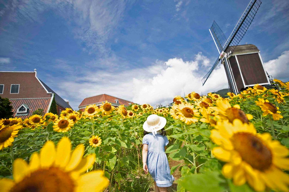 サマーフェスティバル～光の街の夏祭り～／画像提供：ハウステンボス