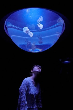 クラゲドロップ／画像提供：サンシャインシティ