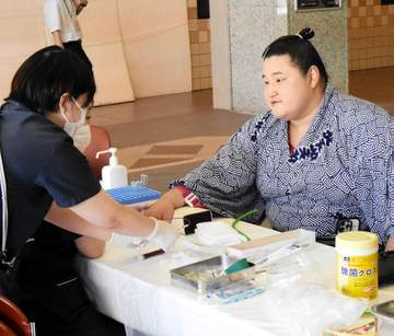 若ノ勝は手術回避で捲土重来誓う、欧勝海と欧勝馬は手術からの復帰目指す 大相撲健康診断