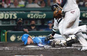 日本ハム 18年ぶり交流戦3連勝発進！勝率5割に復帰 粘り腰で阪神のプロ初先発右腕攻略→九回にスクイズでダメ押し点 福島は7回1失点好投