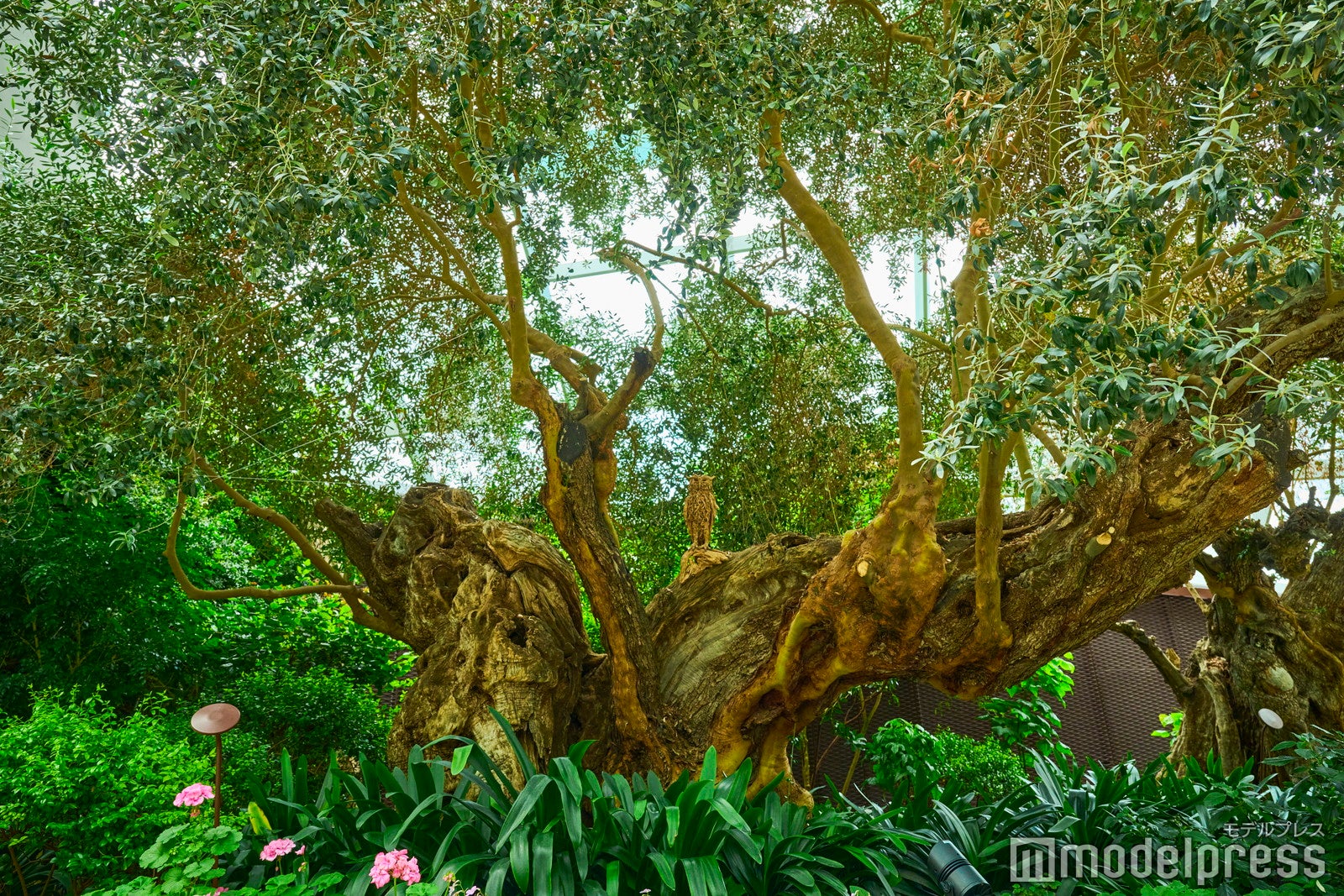 ガーデンズ・バイ・ザ・ベイ（C）モデルプレス