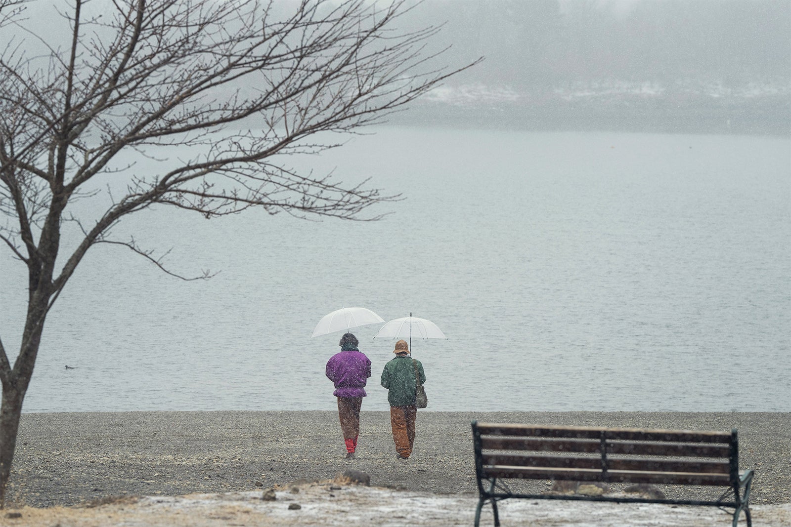 市川実日子、小日向文世「ホットスポット」最終話（C）日本テレビ