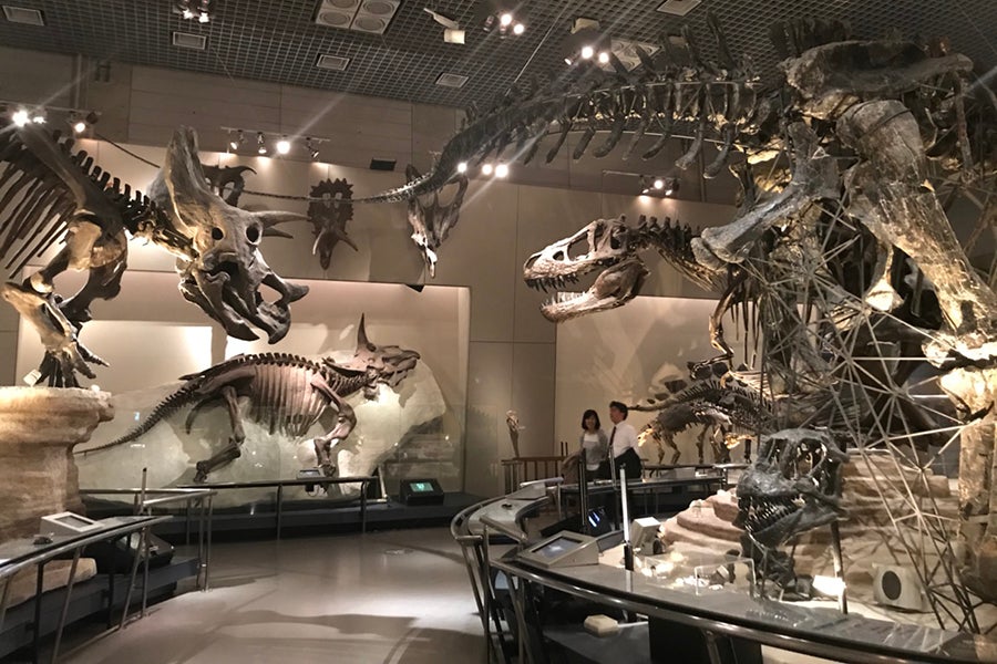 国立科学博物館