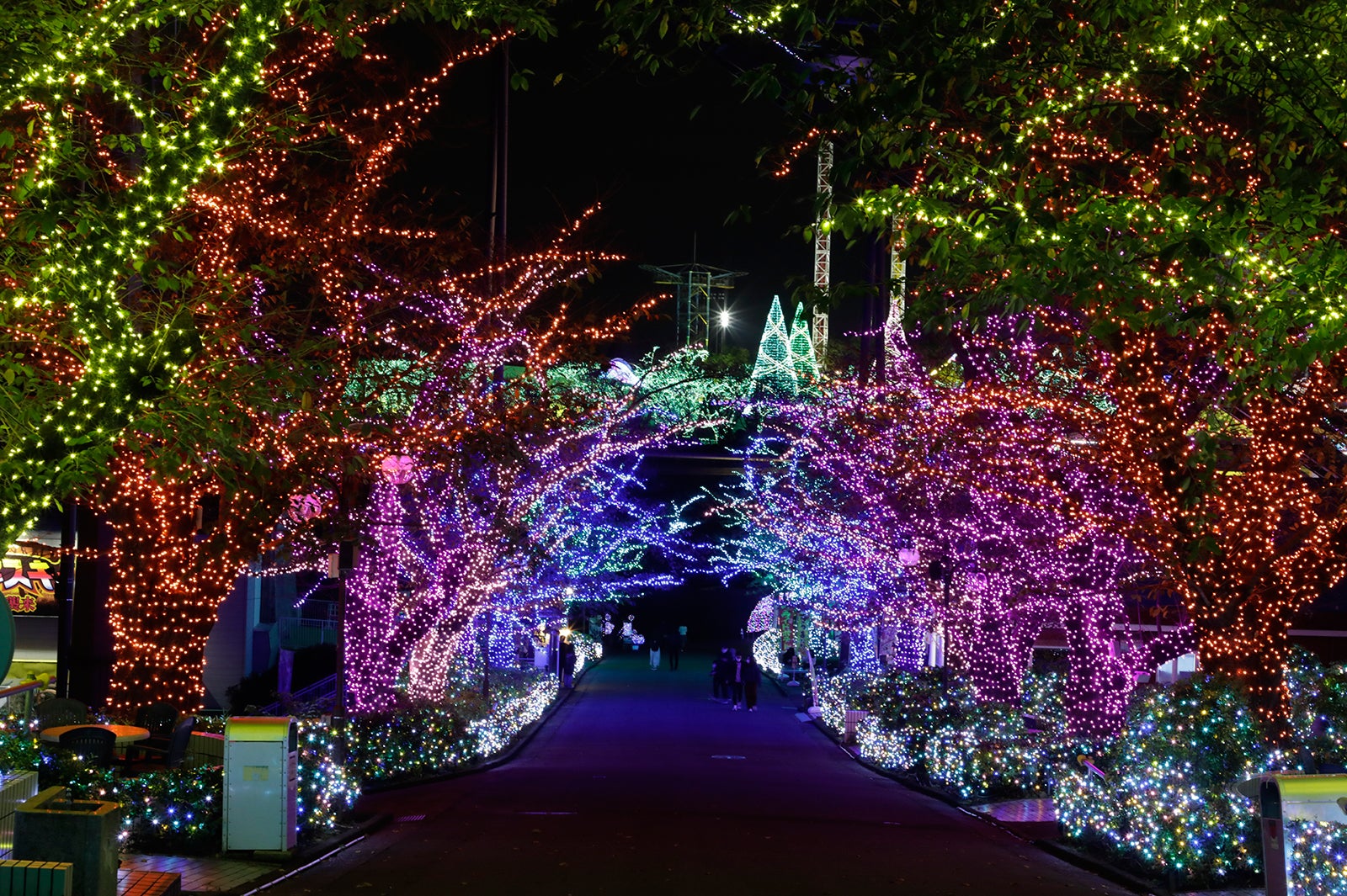 よみうりランド ジュエルミネーション／画像提供：よみうりランド