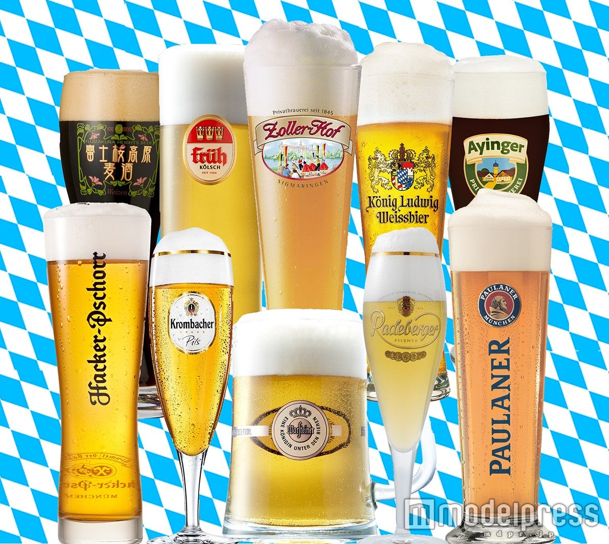 ビール一例／画像提供：オクトーバーフェスト実行委員会