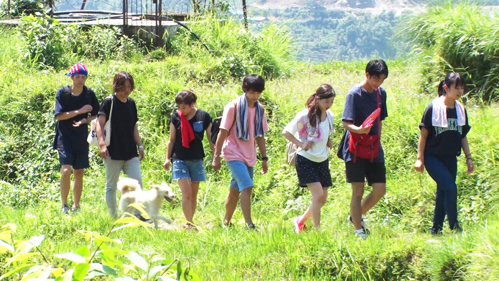 丘の上を目指すメンバー「あいのり：Asian Journey」シーズン2第9話より（C）フジテレビ