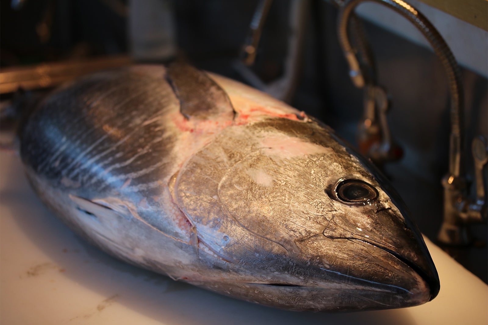 自然豊かな丹後でとれる絶品食材／画像提供：マリントピアリゾート